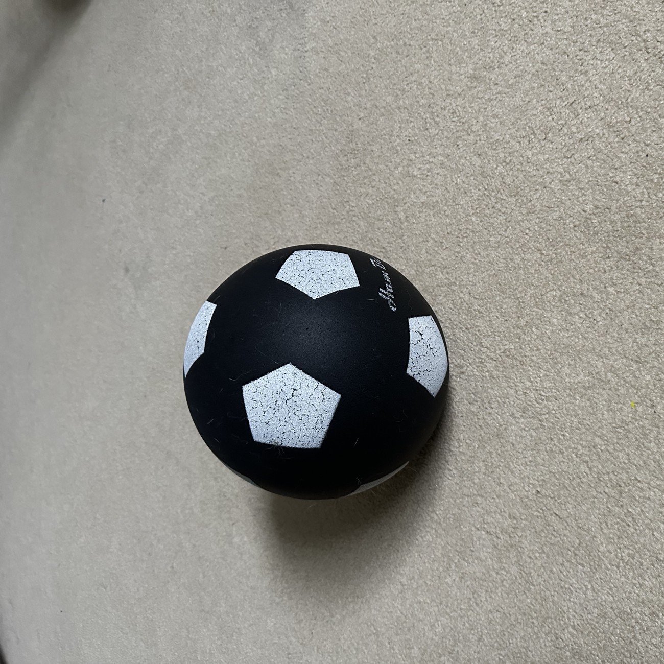 The Silent Kick ball at home